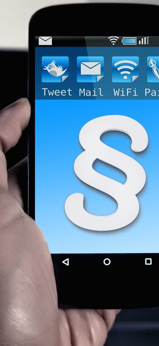 福彩双色球 App 术语详情界面截图，词条标题下方分定义、常见误用、示例三段展示，文字排版疏朗